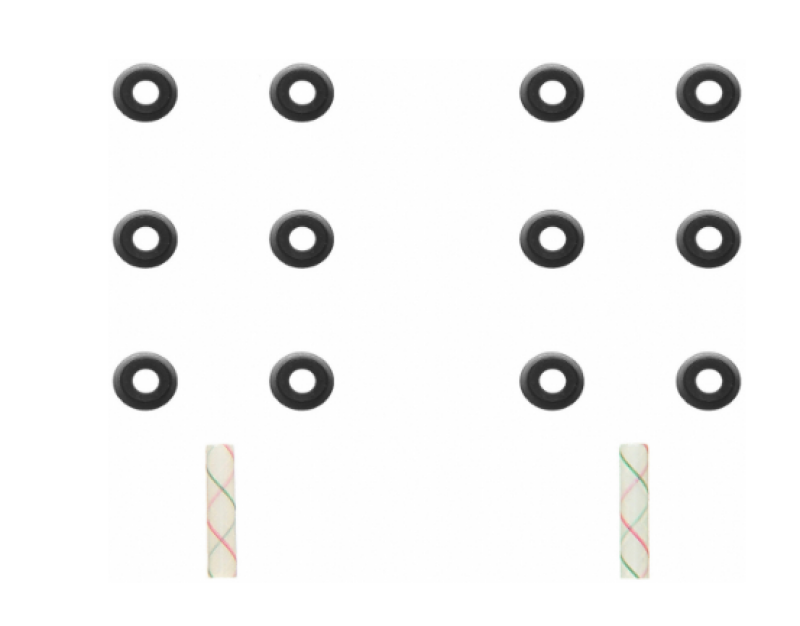 Fel-Pro 18-22 Acura NSX/07-14 TL/10-14 TSX/08-17 Honda Accord Engine Valve Stem Oil Seal Set - SS702832