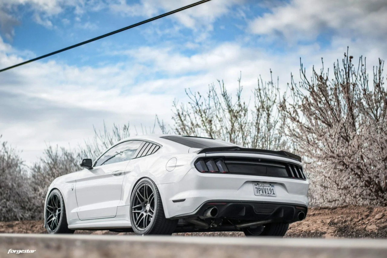 Forgestar F14 Wheels - 20x9.5 Fronts / 20x11 Rears - Gloss Black - 2015-2024+ Ford Mustang S550 / S650 (F25109565P29 / F25101165P56)