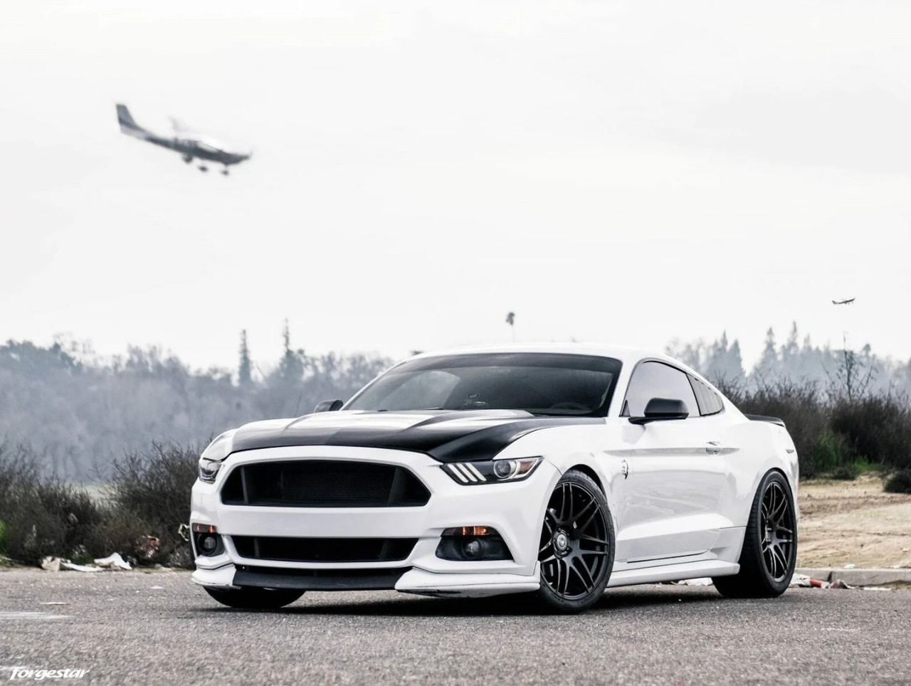 Forgestar F14 Wheels - 20x9 Fronts / 20x11 Rears - Satin Black - 2015-2024+ Ford Mustang S550 / S650 (F15209065P35 / F25201165P56)