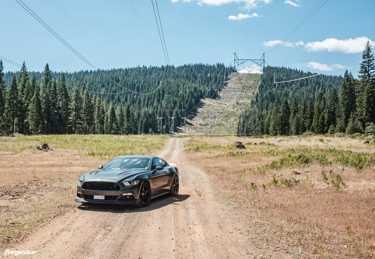 Forgestar CF5 Wheels - 19x9 Fronts / 19x10 Rears - Gloss Silver - 2015-2024+ Ford Mustang S550 / S650 (F11699065P35 / F21690065P42)
