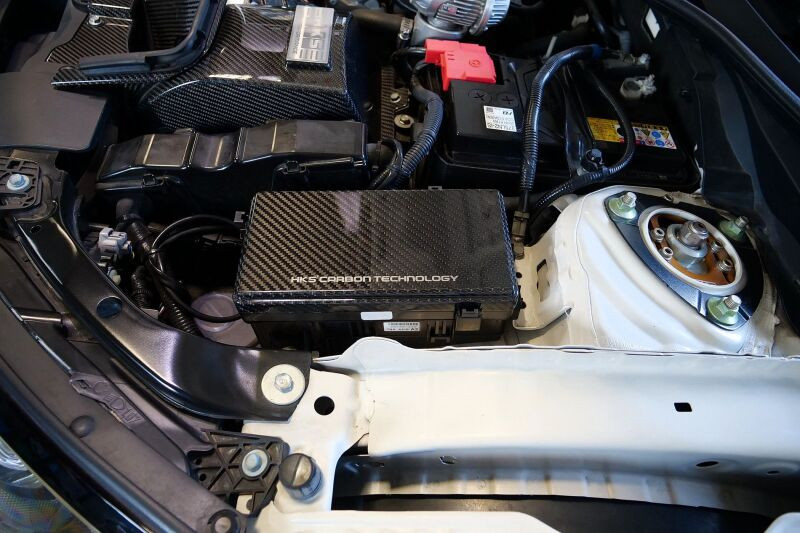 HKS DRY CARBON FUSE BOX COVER FK8 - 70026-AH015 Photo - Close Up