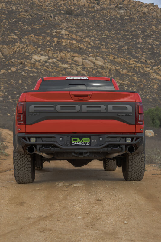 DV8 Offroad 2017-2020 Ford F-150 Raptor Tube Rear Bumper - RBFR1-01 Photo - out of package