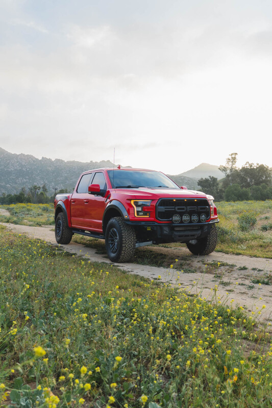 DV8 Offroad Ford 17-20 Ford F-150 Raptor Tube Front Bumper - FBFR1-01 Photo - out of package