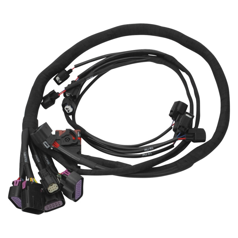 Edelbrock Chevy Gen III/IV LS Pro-Flo 4+ EFI Engine Management System - 36130 Photo - out of package