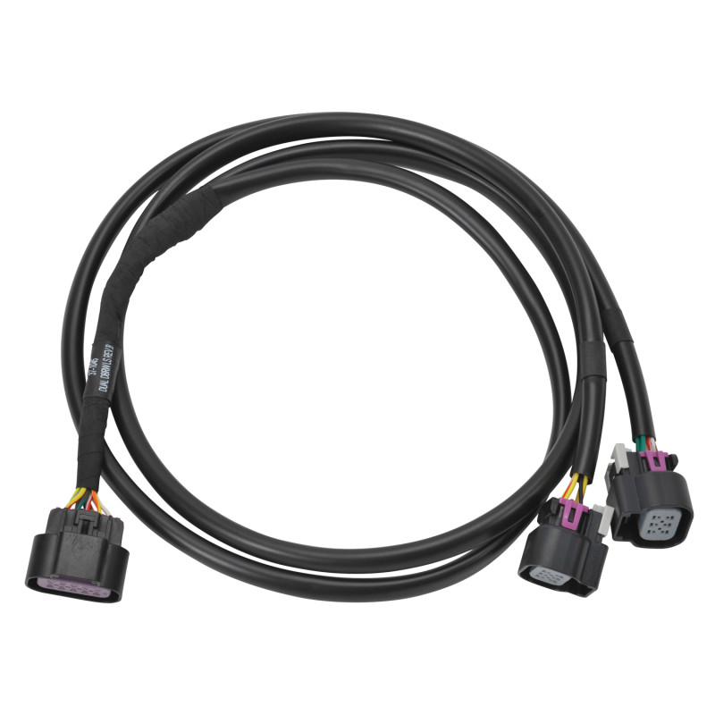 Edelbrock Chevy LS Dual Drive By Wire Pro-Flo 4+ EFI Throttle Wiring Harness - 36142 Photo - Primary