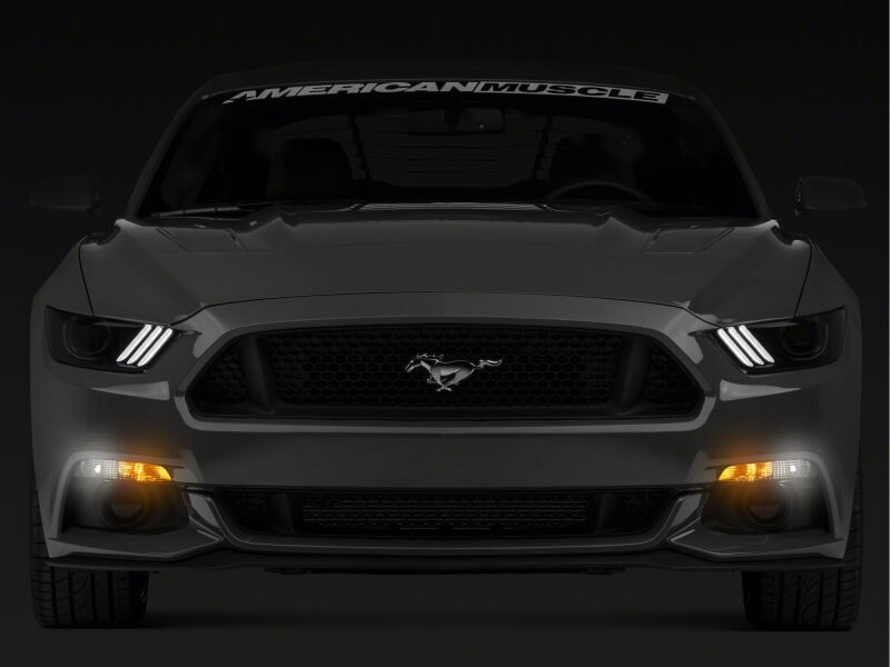 Raxiom 15-17 Ford Mustang Axial Series Switchback Turn Signal Conversion Kit - 390266 Photo - Primary