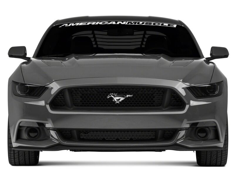 Raxiom 15-17 Ford Mustang Axial Series Switchback Turn Signal Conversion Kit - 390266 Photo - Primary