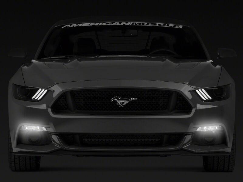 Raxiom 15-17 Ford Mustang Axial Series Switchback Turn Signal Conversion Kit - 390266 Photo - Primary