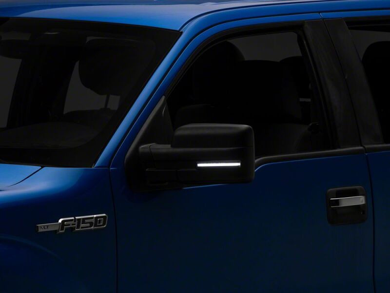 Raxiom 09-14 Ford F-150 V2 White LED Side Marker- Smoked - T600877 Photo - Close Up