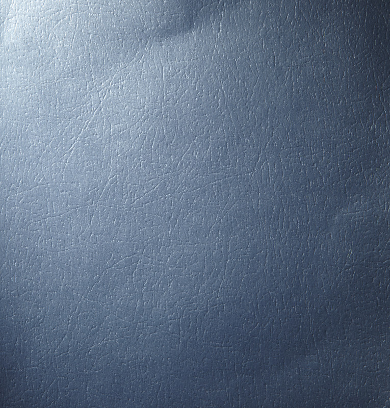 Covercraft 03-11 Ford Crown Victoria UVS100 Custom Sunscreen - Blue - UV10880BL Photo - Close Up