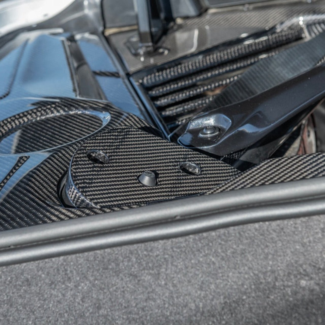 EOS Engine Bay Strut Covers with Mag-Ride - Carbon Fiber - C8 Corvette