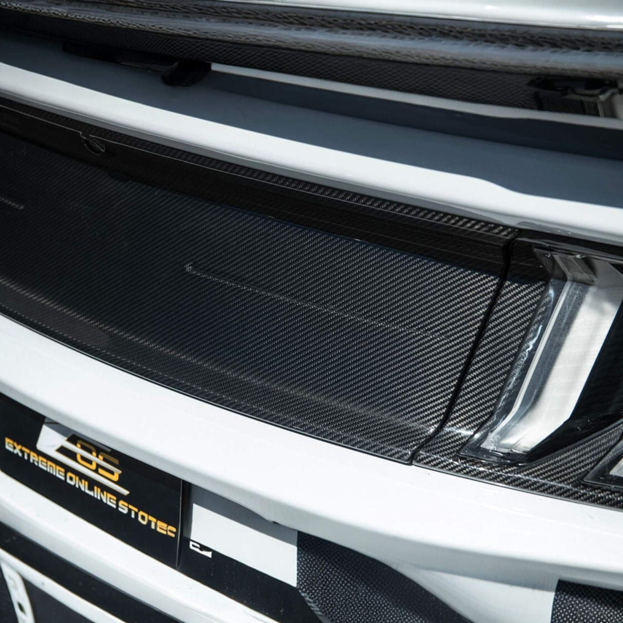 EOS Carbon Fiber Trunk Applique Panel - 18-23 Ford Mustang S550 (TRUNK-1503-BKCF)
