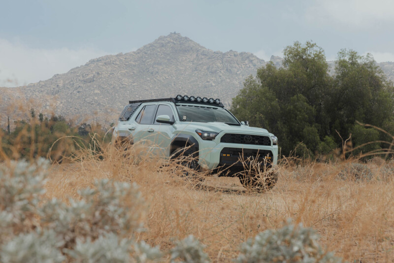 DV8 25-26 Toyota 4Runner Exterior Window Molles (Use w/ PN dveRRTF3-02) - Driver & Passenger - RRTF3-02EM Photo - Close Up