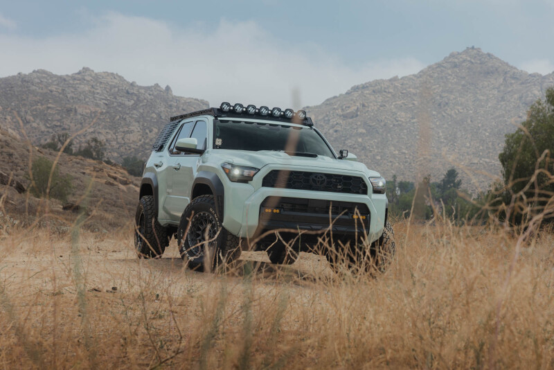 DV8 25-26 Toyota 4Runner Exterior Window Molles (Use w/ PN dveRRTF3-02) - Driver & Passenger - RRTF3-02EM Photo - Close Up