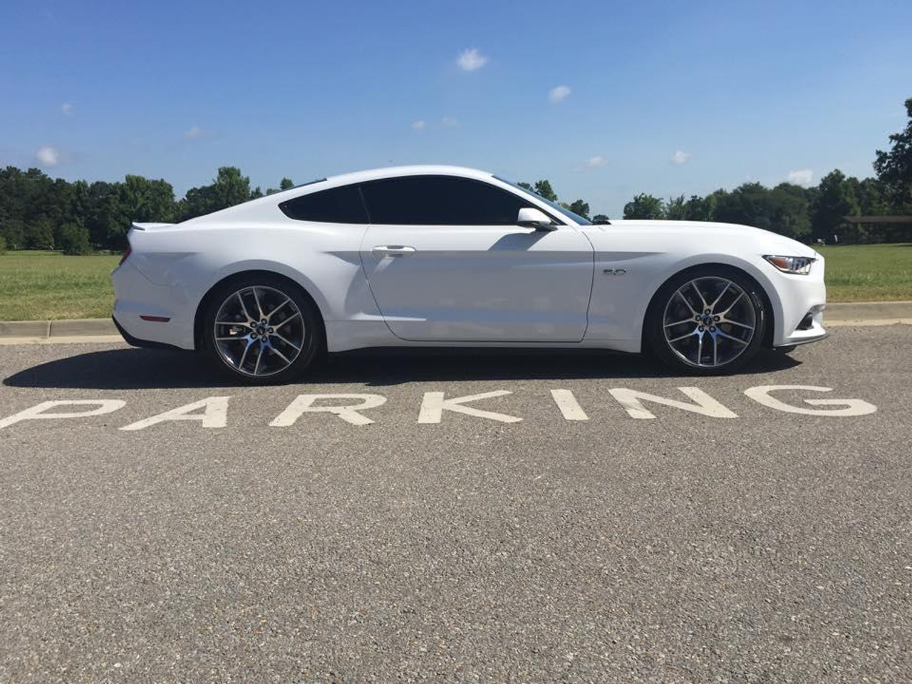 BMR Lowering Springs - Rear Set of 2 - Performance Version - S550 / S650 Mustang