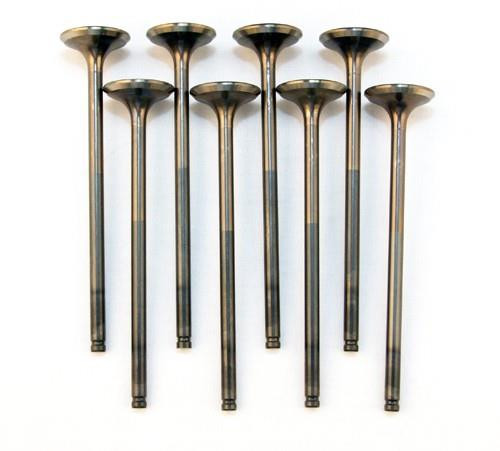 BLOX Racing High Compression Exhaust Valve Set for D-series SOHC VTEC (D16Z-Y) - BXPT-20251 Photo - Primary