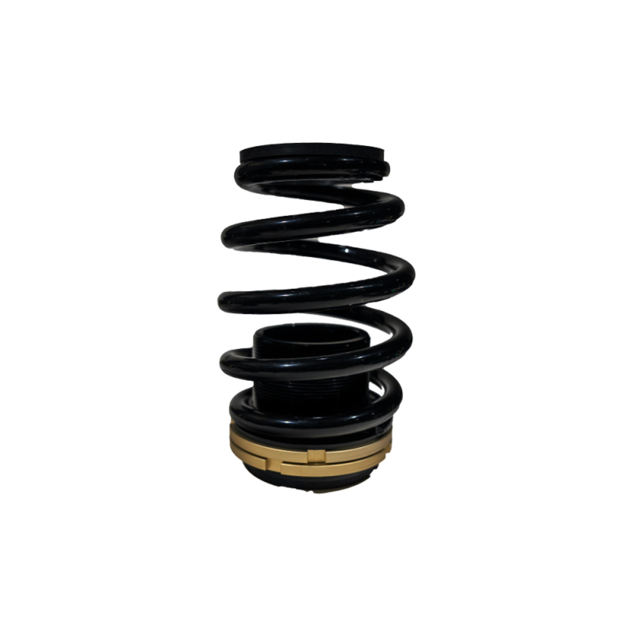 BLOX Racing 12-13 Honda Civic SI Plus Series Fully Adjustable Coilovers - BXSS-00120