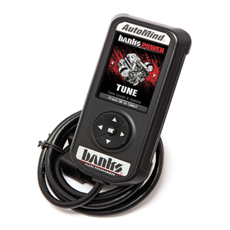 Banks Power 98-99 Jeep 4.0L Wrangler Stinger System - 51330