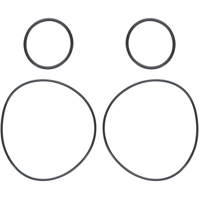 Camburg 2.25/2.50 Rear Hub O-ring Kit - CAM-020125