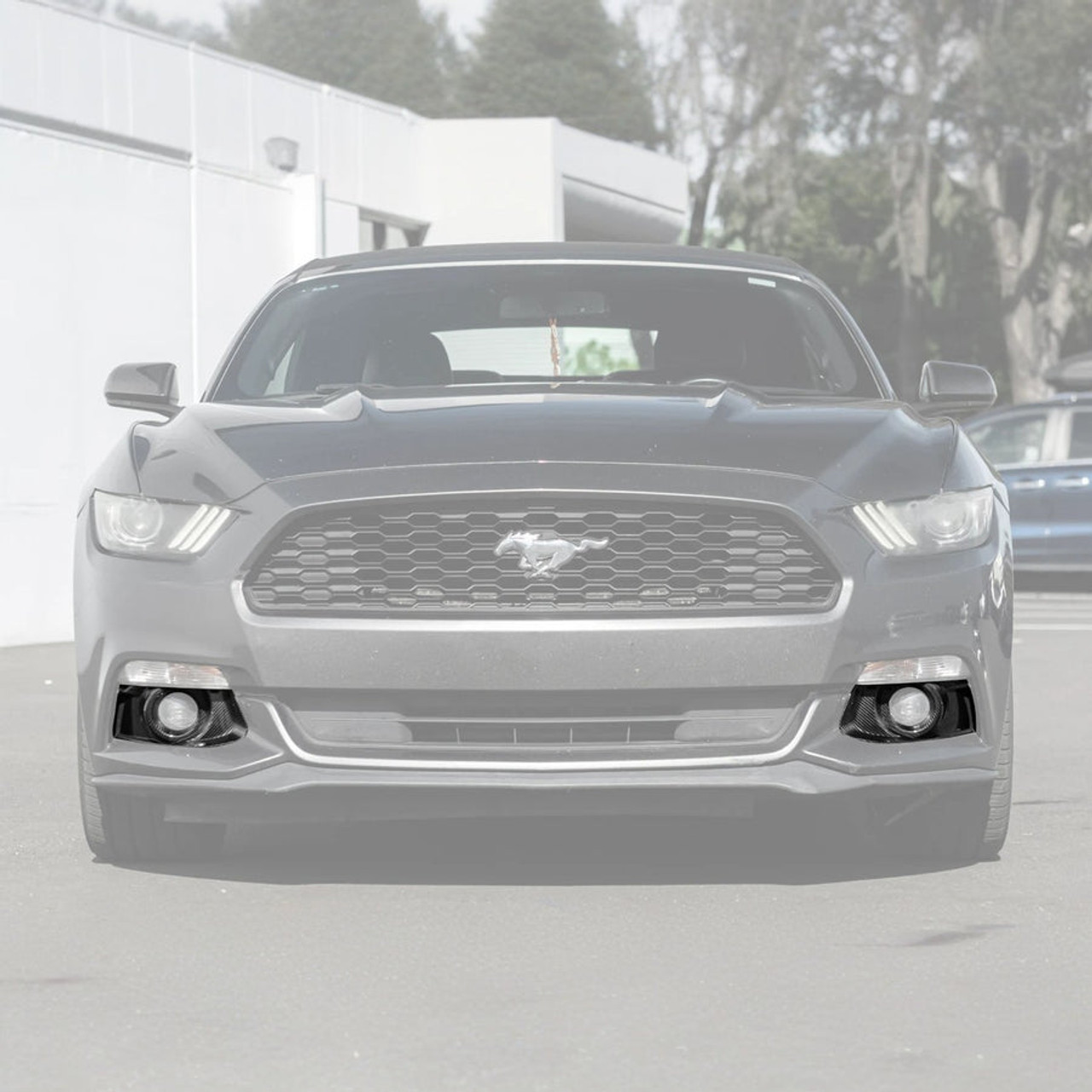 EOS Carbon Fiber Fog Light Bezels - 15-17 Ford Mustang (FOG-1108-BKCF)
