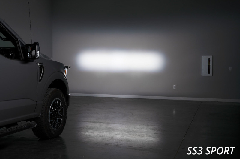 Diode Dynamics 21-22 Ford F-150 SS3 Stage Series Backlit Ditch Light Kit - Pro White Combo - DD7371