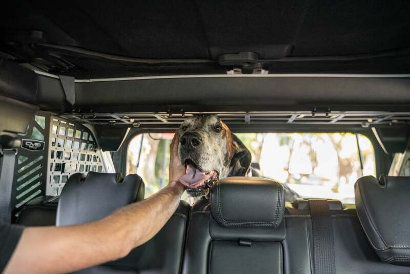 DV8 Offroad 2021-2024 Ford Bronco Dog Barrier - MPBR-10 Photo - out of package