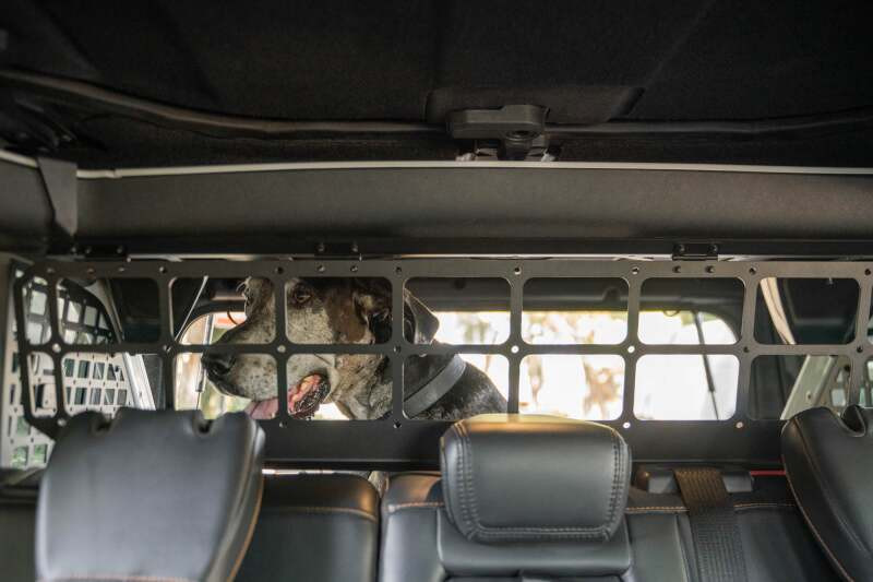 DV8 Offroad 2021-2024 Ford Bronco Dog Barrier - MPBR-10 Photo - out of package