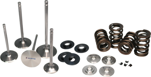 Ferrea Mitsubishi Evo X 4B11T Dual Spring Kit - KT4014