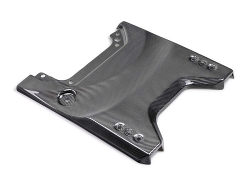 Ford Racing 22-24 Bronco Raptor Carbon Fiver Tailgate Applique - Gloss - M-16600-BG