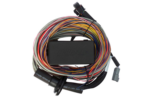 Haltech Elite 750 Premium Universal Wire-In Harness - 2.5m (8ft) - HT-140604