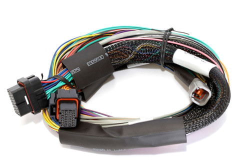 Haltech Elite 1500 Basic Universal Wire-In Harness w/o Relays or Fuses - 2.5m (8ft) - HT-140902