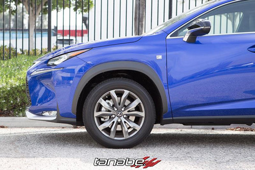 Tanabe NF210 Springs 15-16 Lexus NX200T F-Sport FWD - TNF196 Photo - Primary