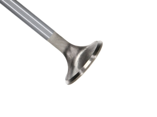 Manley 99-12 Ford 4.6L/281 5.4L/330 V8 37mm Race Series Stainless Steel Intake Valve - Single - 11639-1 Photo - Primary