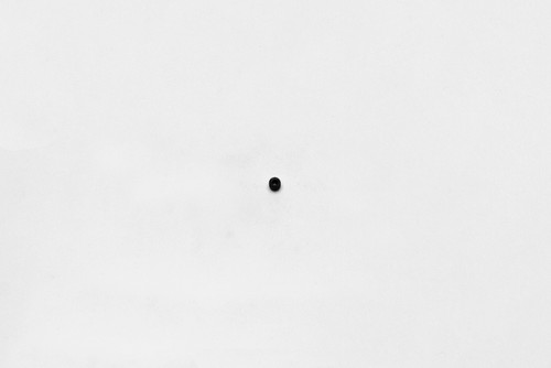 Wilwood bolt 10-32X.19 LG (3/16) set screw cup point black - 230-5046 Photo - Primary
