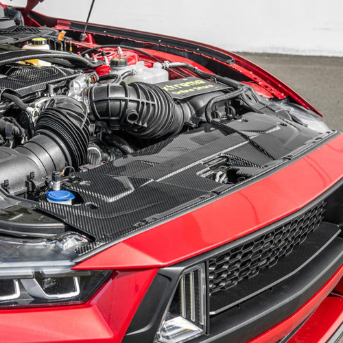 EOS Radiator Cover Panel - Carbon Fiber - 2024+ Mustang GT S650