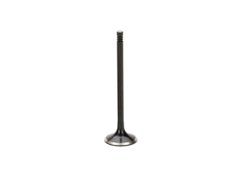 Supertech Nissan GTR VR38DETT Intake Valve - 5.9mm Tip - Blk Nitride ...