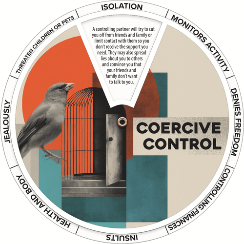 Aspects of Coercive Control Edu-Wheel