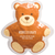Hot/Cold Teddy Bear Pack
