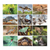 Wall Calendar