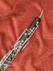 Loree Professional Oboe D'amore