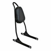 2006-2017 Dyna  Punisher Sissy Bar With Pad - 18"