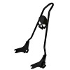  97-08 Touring Quick Release Skull Sissy Ba r- 18"