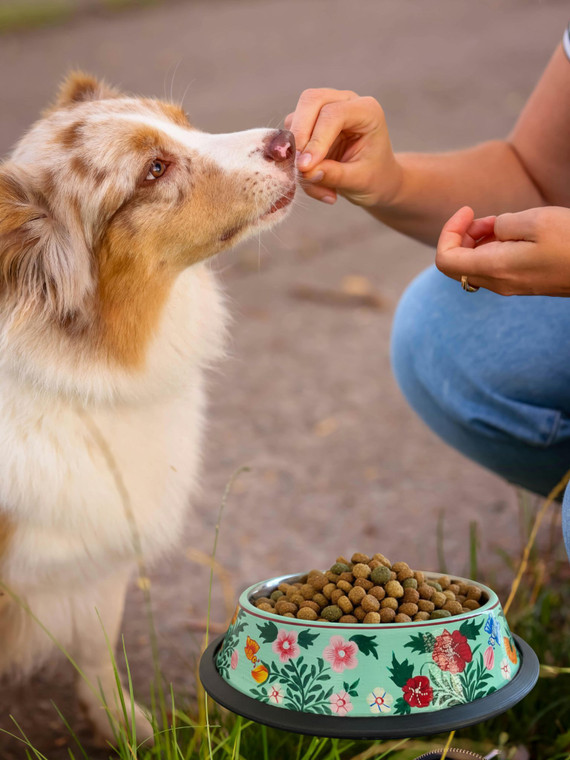 Dog food bowl