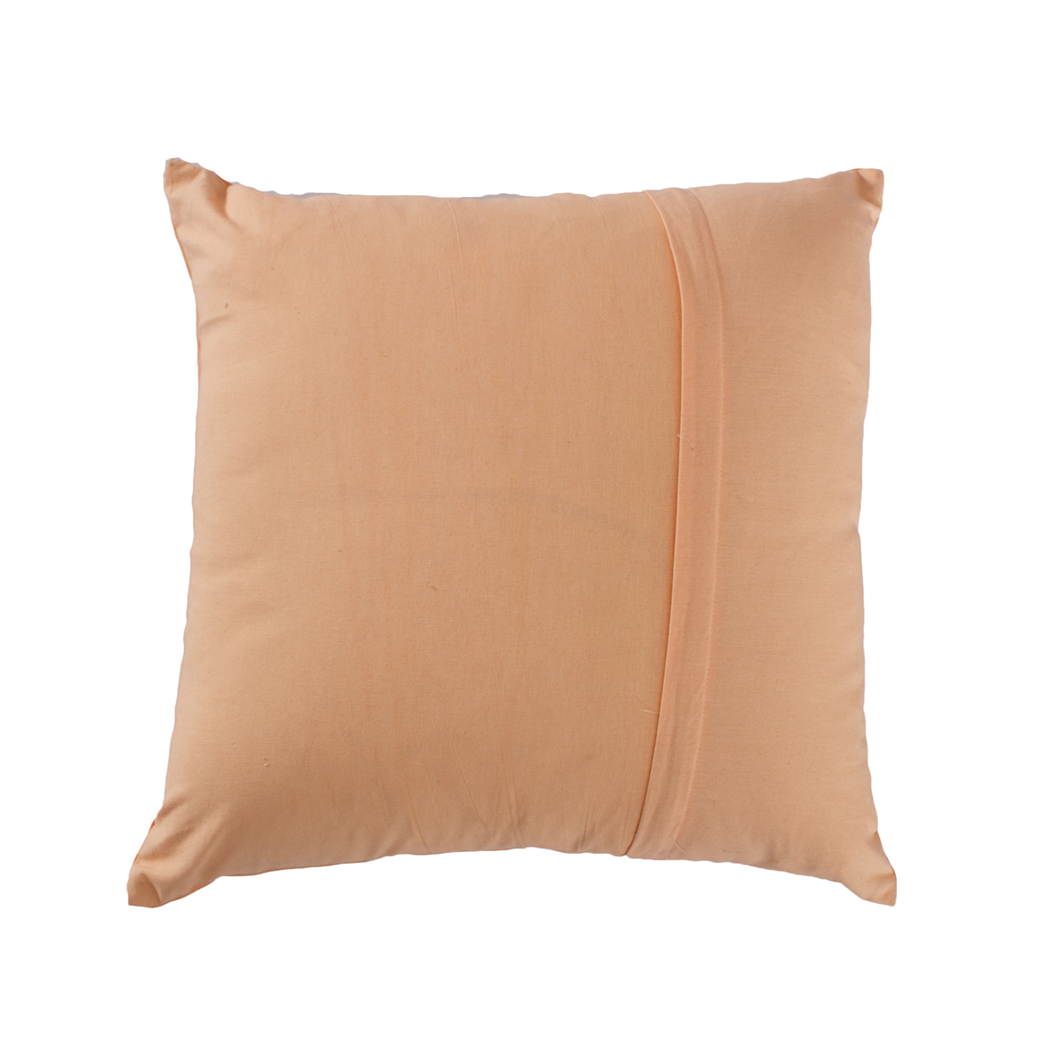 Hand Painted Cushion Cover- Fishes