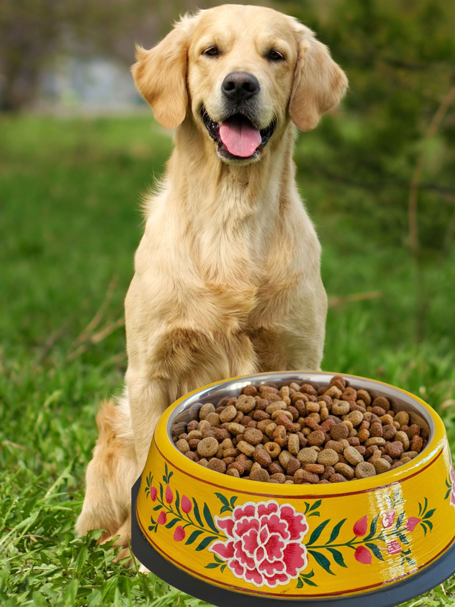 Hand painted dog food bowl