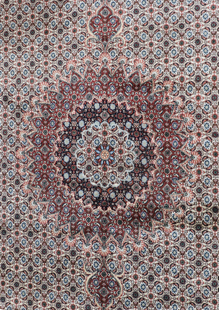  Birjand Fine Persian Rug (Ref 234) 290x195cm