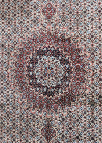  Birjand Fine Persian Rug (Ref 234) 290x195cm