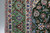 The border shot shows contrast between the light green of the border and