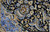 Kashan Classic Navy Vintage Persian Rug (Ref 6) 435x310cm