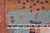 Sultani Khorjin Fine Pictorial Veg Dye Rug (Ref 6022) 207x158cm